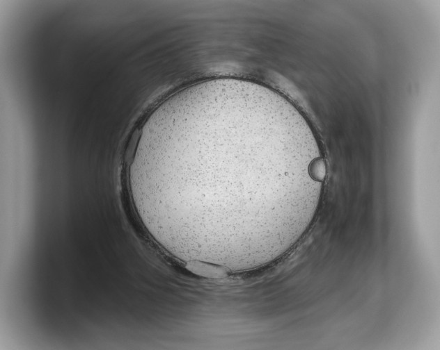 X0000103220106200809181511