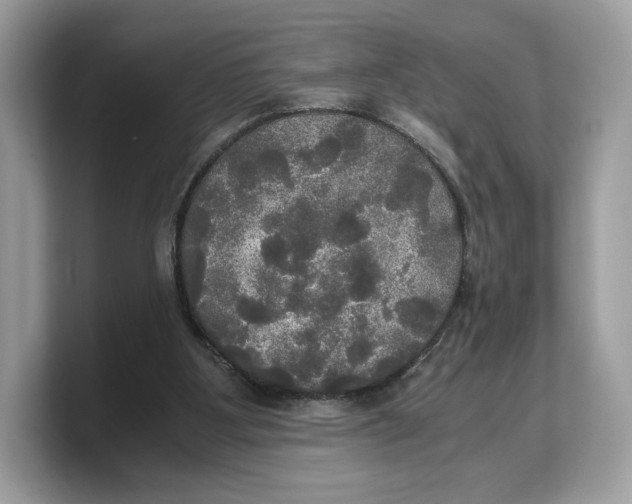 X0000103220107200809181511