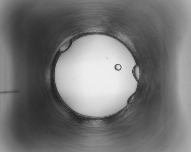 X0000103220108200809181511