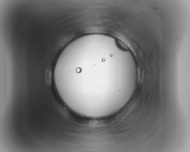 X0000103220109200809181511