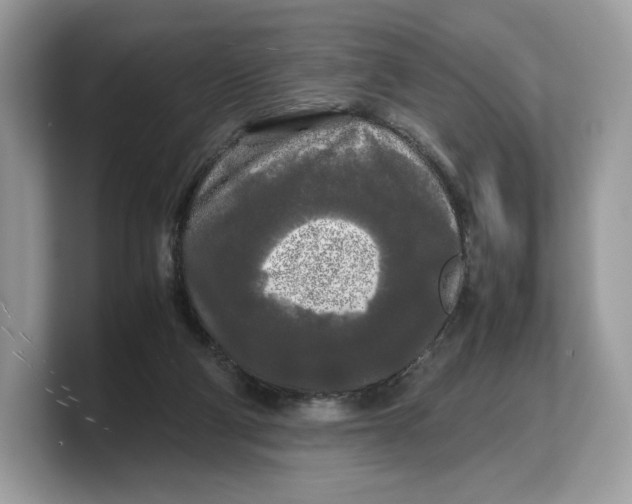 X0000103220114200809181511