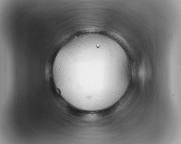 X0000103220119200809181511