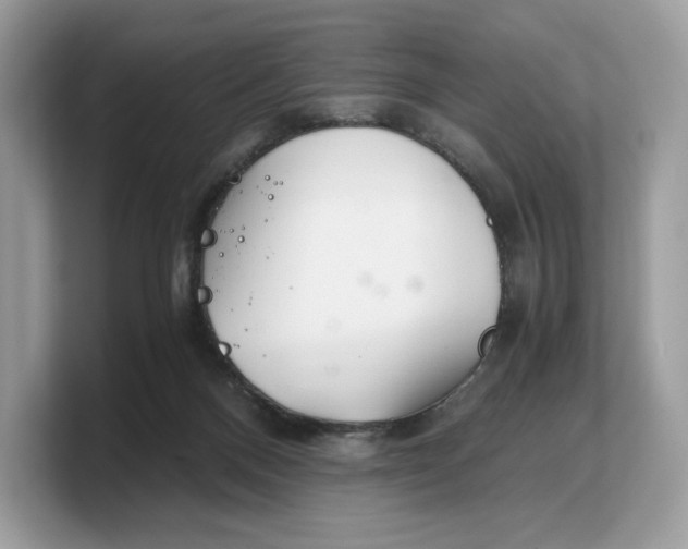 X0000103220120200809181511