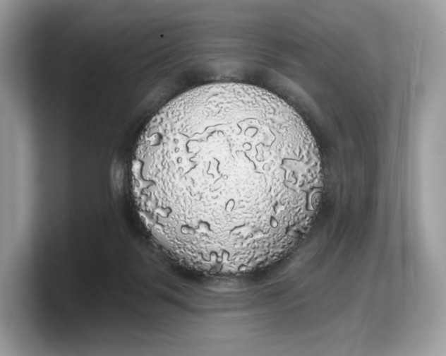 X0000103220123200809181511