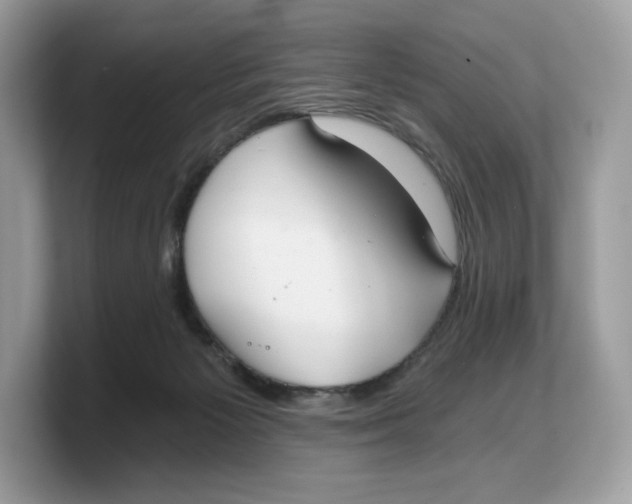 X0000103220125200809181511