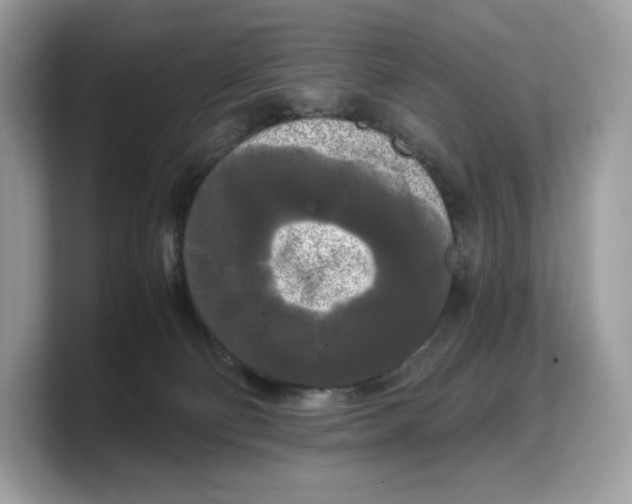 X0000103220130200809181511