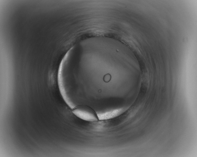 X0000103220131200809181511