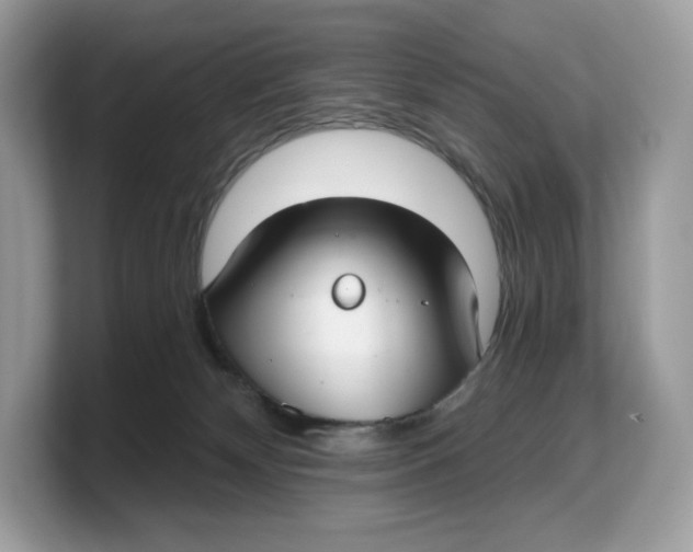 X0000103220132200809181511