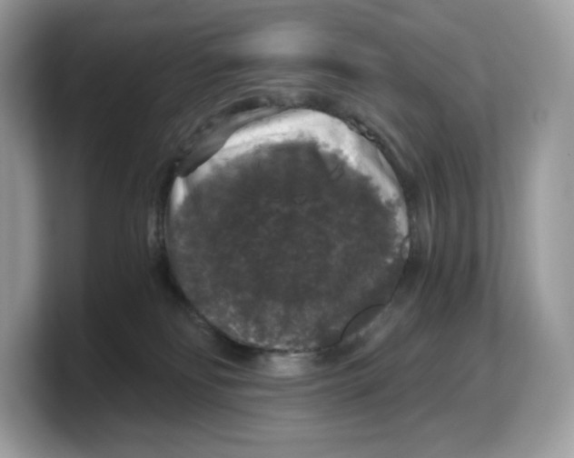 X0000103220134200809181511