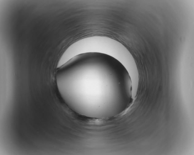 X0000103220140200809181511