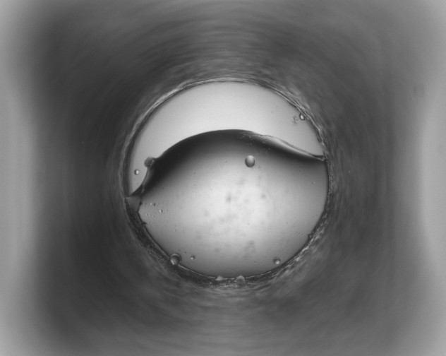 X0000103220146200809181510