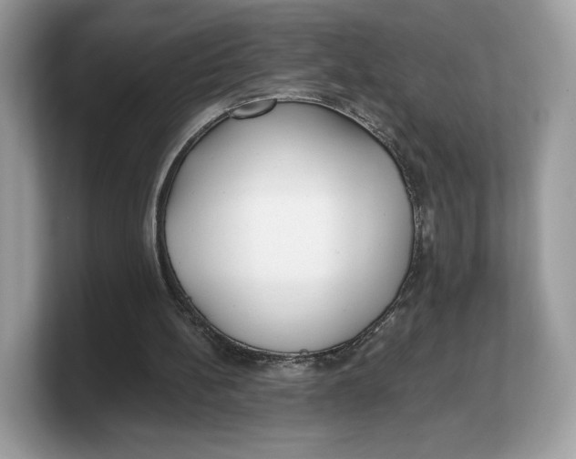 X0000103220148200809181510