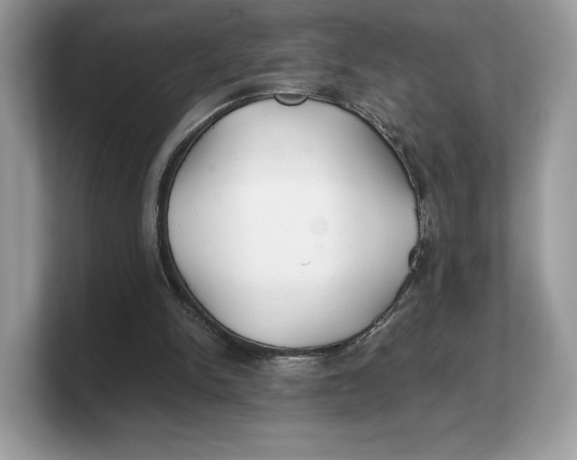 X0000103220150200809181510