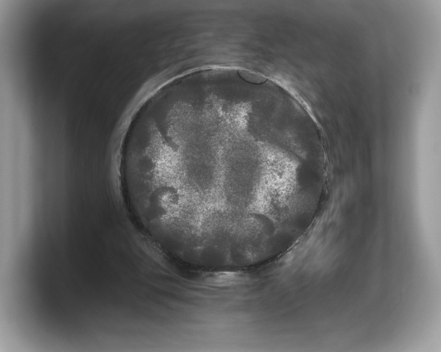 X0000103220151200809181510