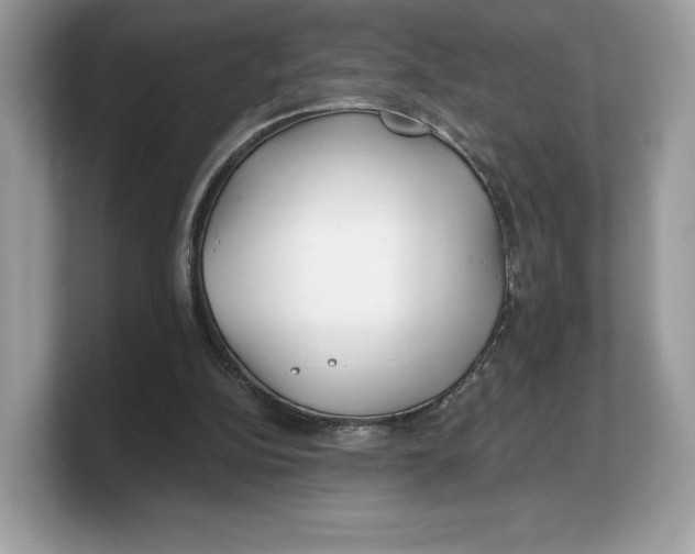 X0000103220152200809181510