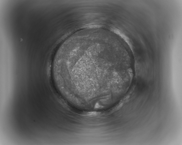 X0000103220153200809181510