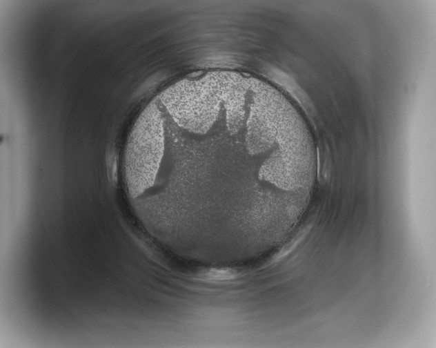 X0000103220157200809181511