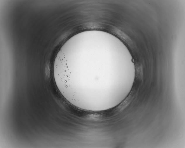 X0000103220158200809181511