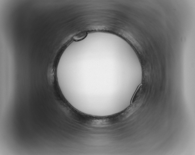 X0000103220160200809181511