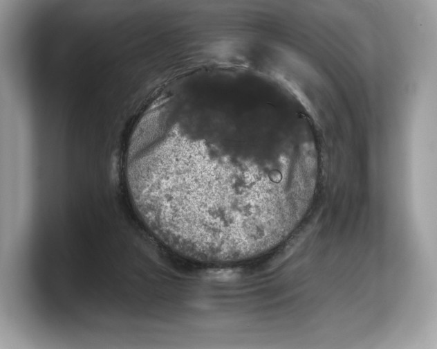 X0000103220161200809181511