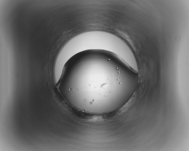 X0000103220162200809181511