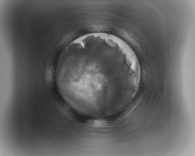 X0000103220165200809181511