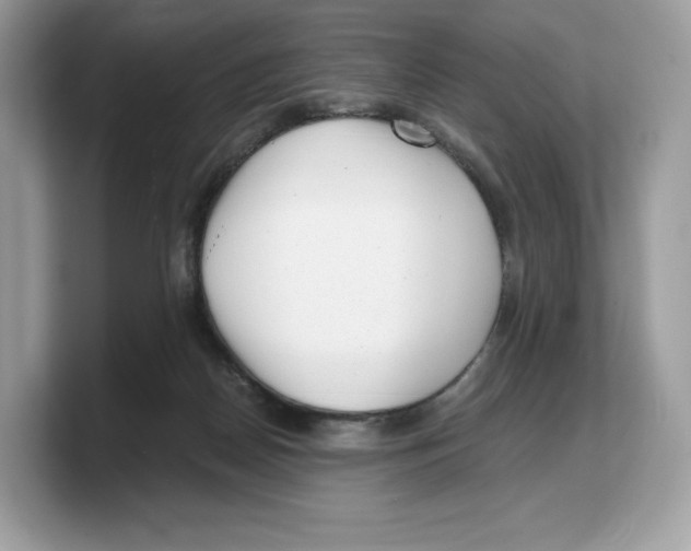 X0000103220170200809181511