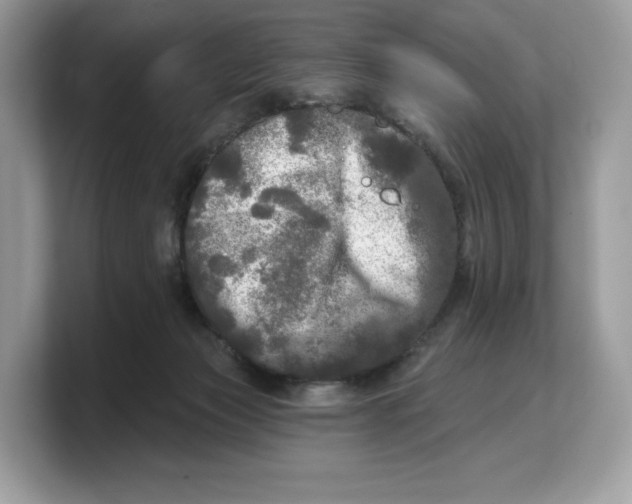 X0000103220173200809181511