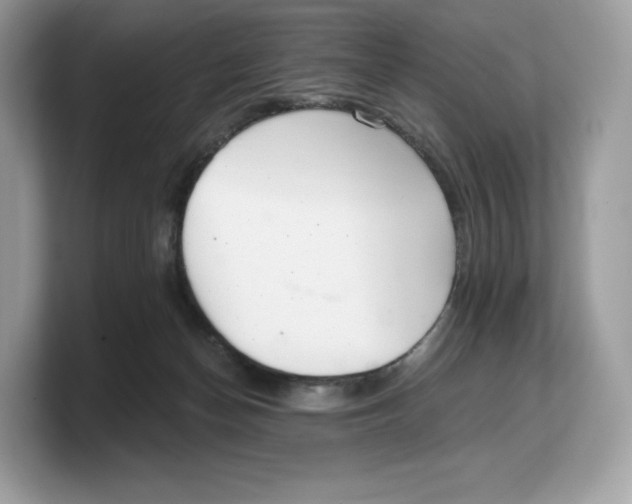 X0000103220174200809181511