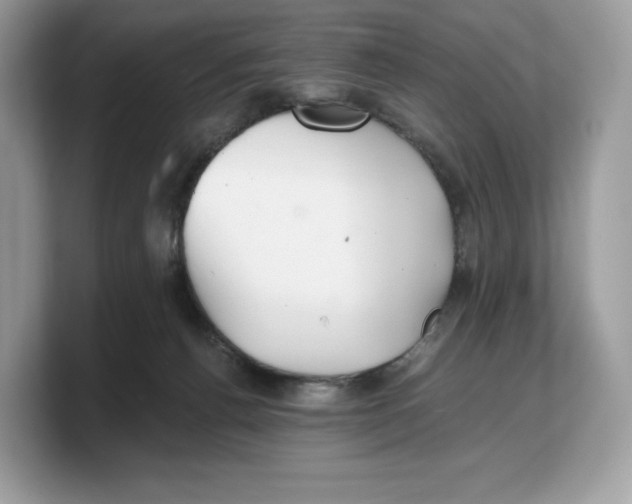 X0000103220176200809181511