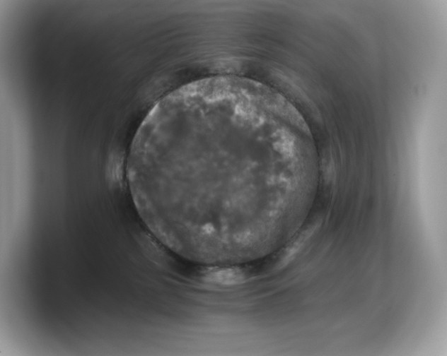 X0000103220185200809181511