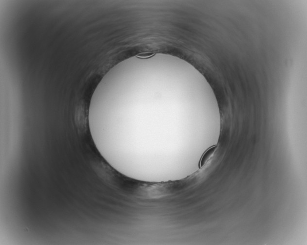 X0000103220186200809181511