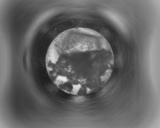 X0000103220189200809181511