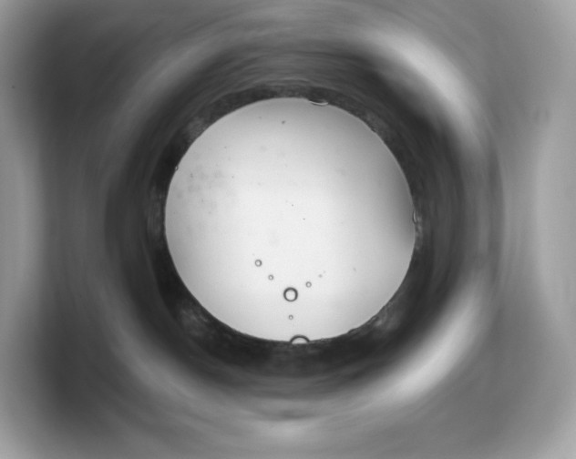 X0000103220190200809181511