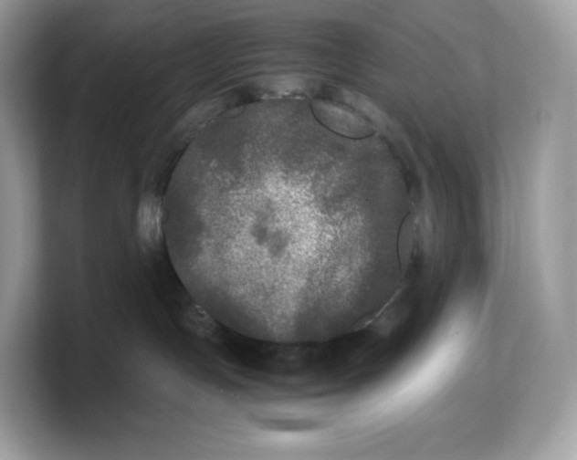 X0000103220191200809181511