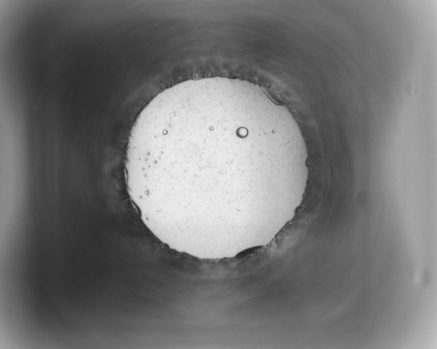 X0000103220192200809181511