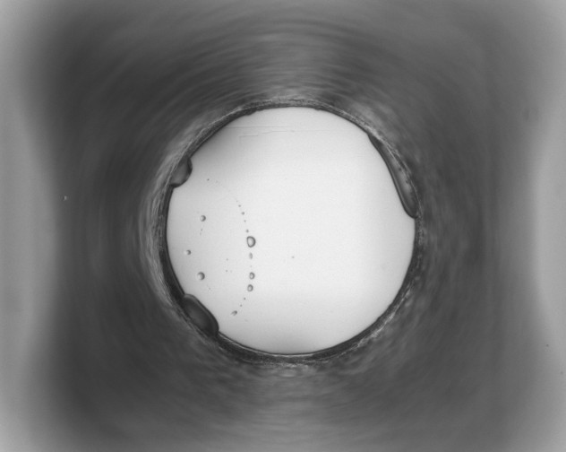 X0000103220193200809181510