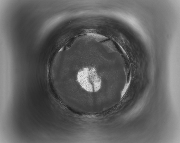 X0000103220194200809181510