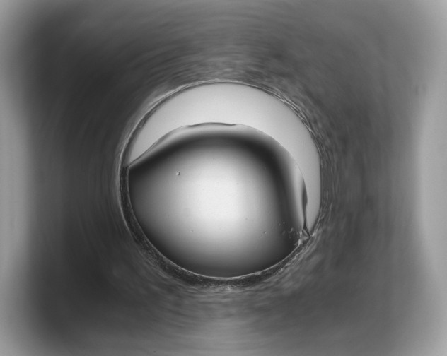 X0000103220195200809181510