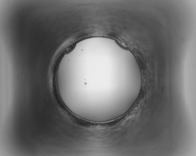 X0000103220197200809181510