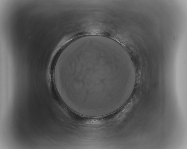 X0000103220198200809181510