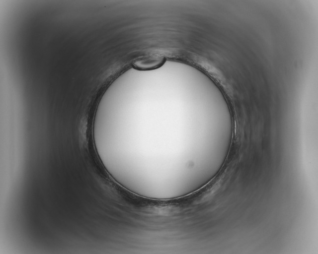 X0000103220201200809181510