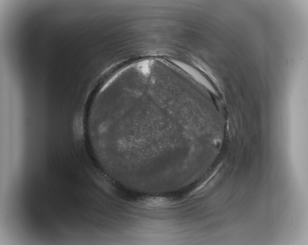 X0000103220203200809181510