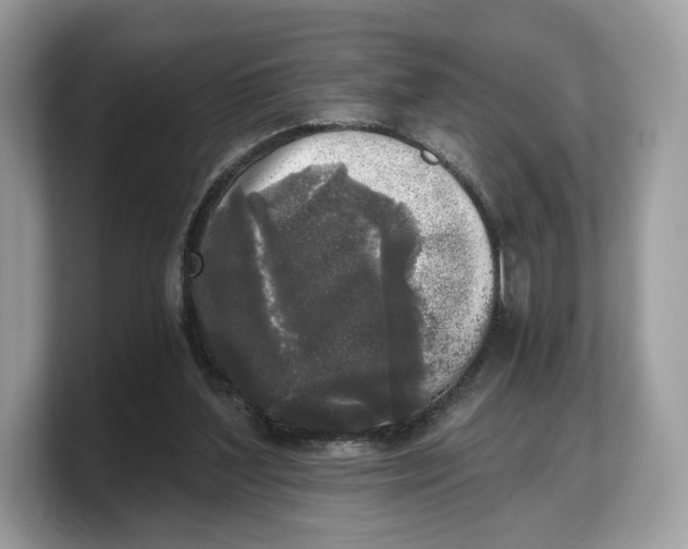 X0000103220204200809181510