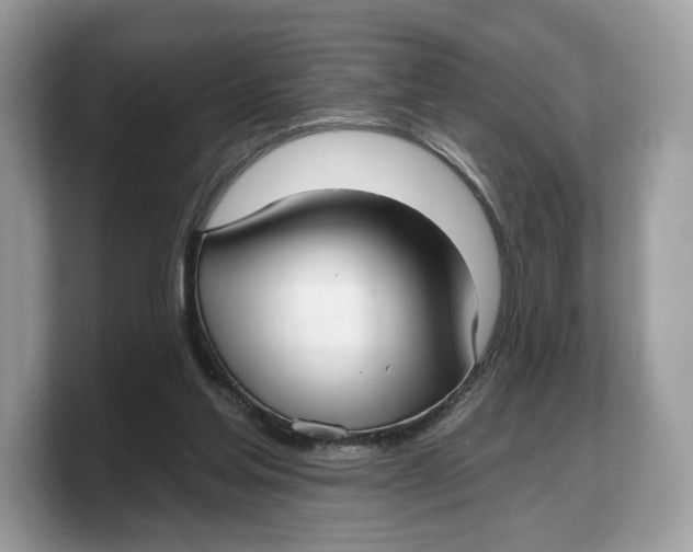 X0000103220205200809181510