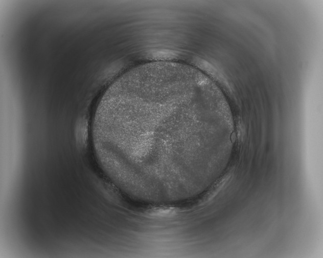 X0000103220206200809181510