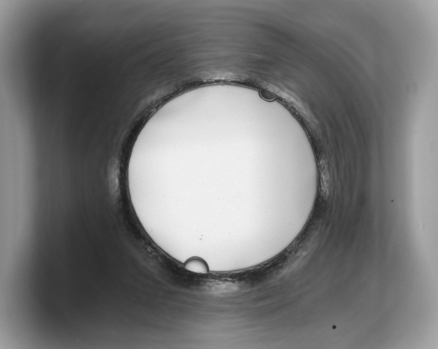 X0000103220207200809181510