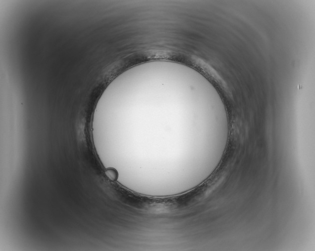 X0000103220209200809181510