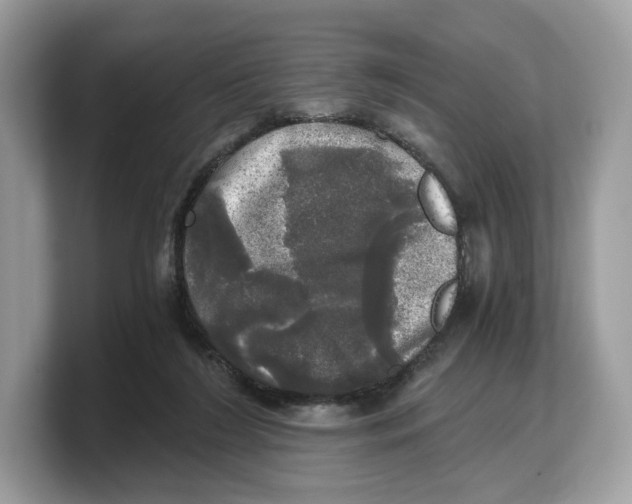 X0000103220212200809181510