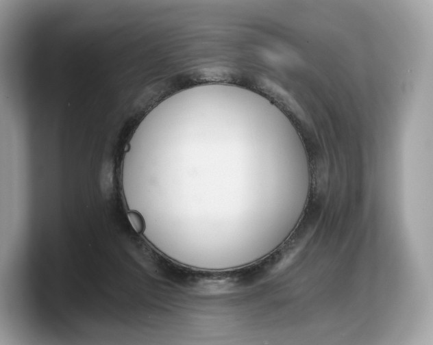 X0000103220213200809181510